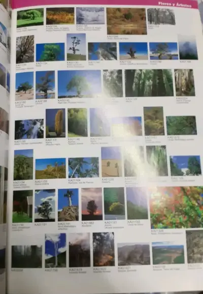 Catálogo de Fotos de Chile Kactus Foto - miniatura 2