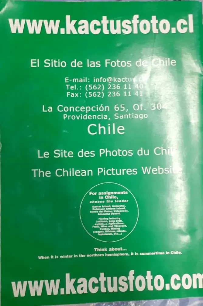 Catálogo de Fotos de Chile Kactus Foto - 4