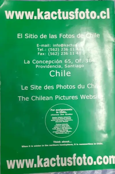 Catálogo de Fotos de Chile Kactus Foto - miniatura 4