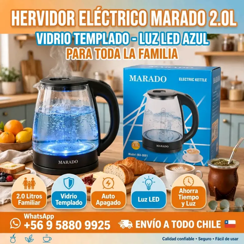 Hervidor eléctrico práctico de vidrio de calidad