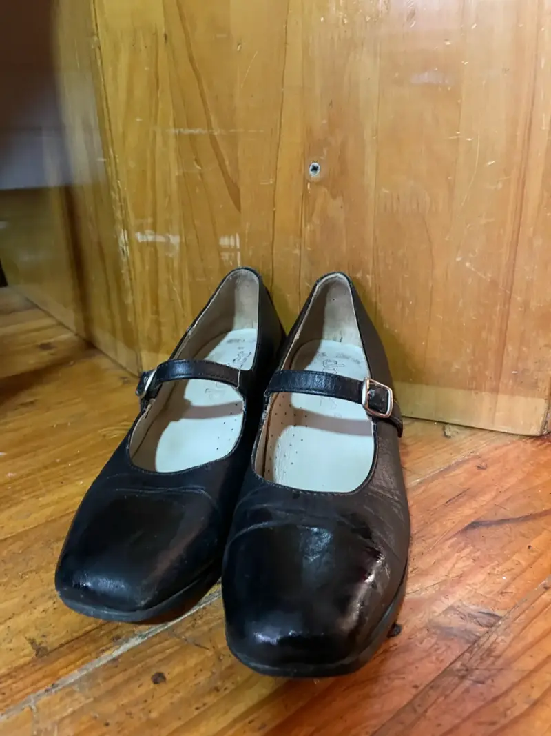 Zapatos de huasa - 2