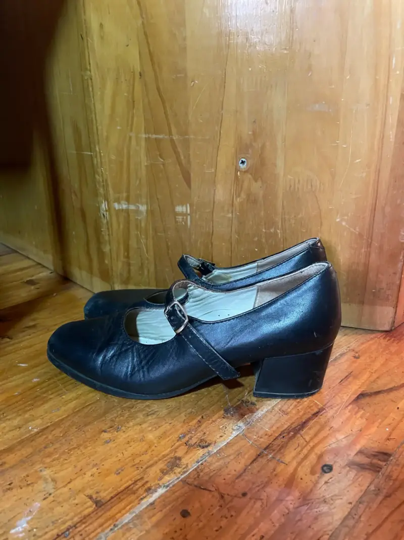 Zapatos de huasa - 3