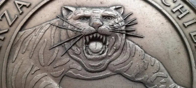 Emblema Fuerza Aerea N° 12 Fach Avion F5 Tiger - 2