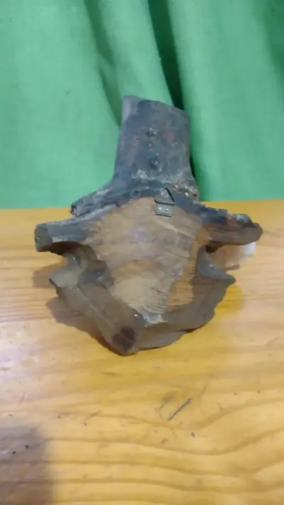 Duende del Bosque madera tallada (coleccion) - miniatura 6