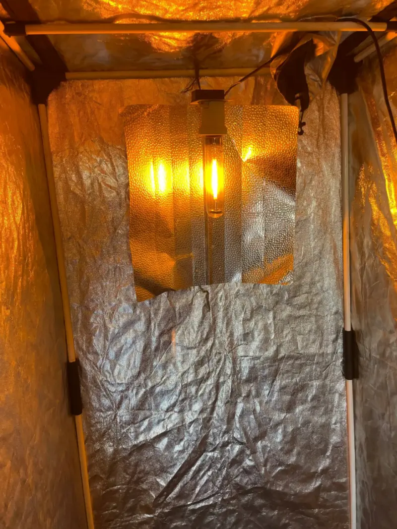 Carpa de cultivo interior Probox Ecopro con luz - 2