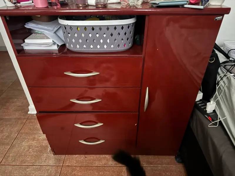 Cómoda de Madera con Cajones y Puerta