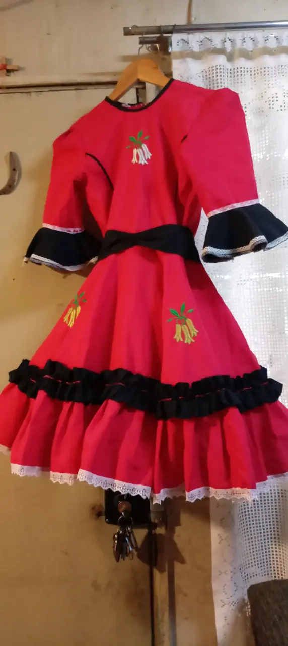 Vendo botas de huaso una postura número 27 - 4