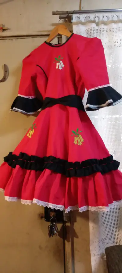 Vendo botas de huaso una postura  número 27 - miniatura 4