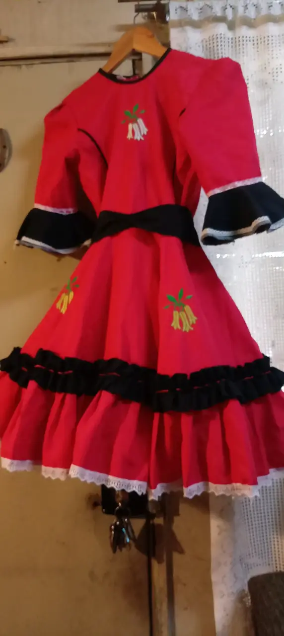 Vendo botas de huaso una postura número 27 - 6