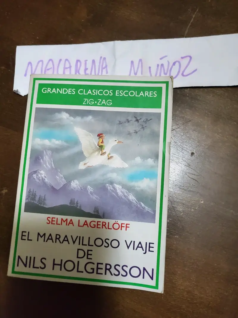 El Maravilloso Viaje de Nils Holgersson de Se - 1
