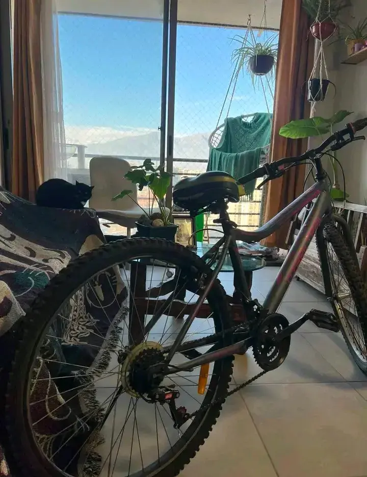 Bicicleta de montaña para adulto en buen estado - 1
