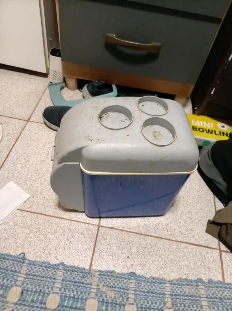 Nevera portátil con portavasos integrada