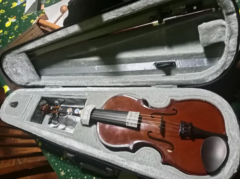 Violín acústico con estuche rígido - 1