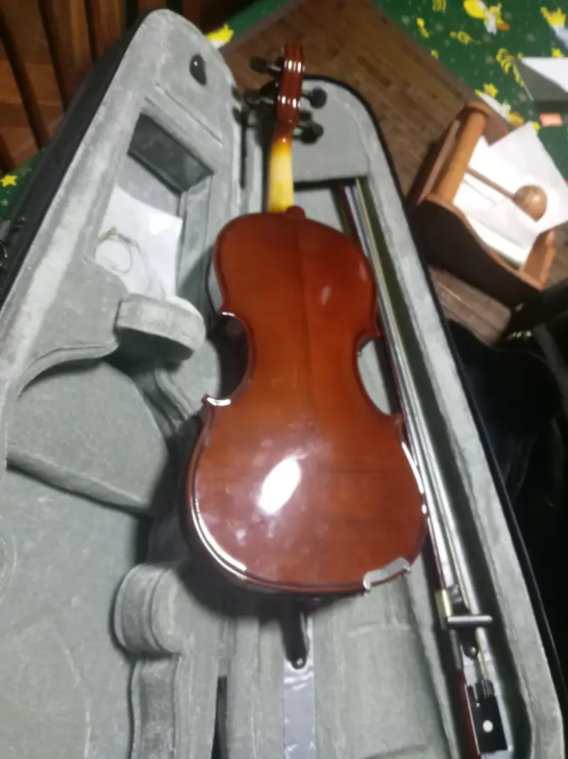 Violín acústico con estuche rígido - 2