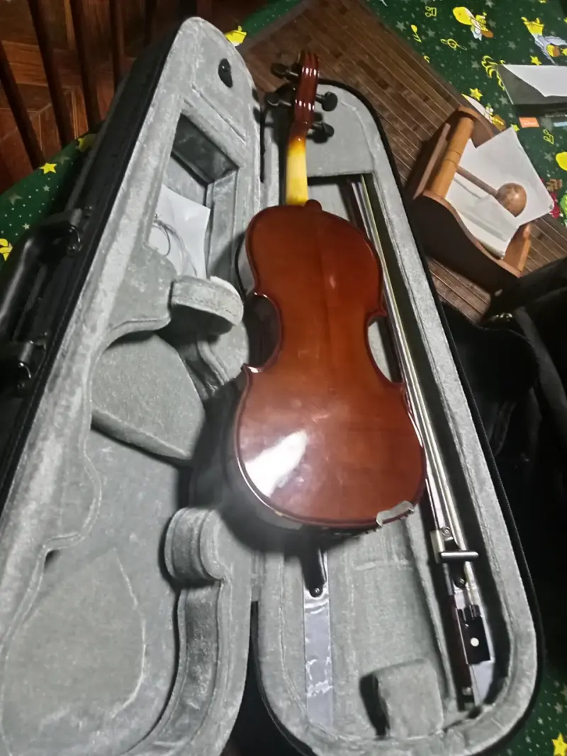 Violín acústico con estuche rígido - 3