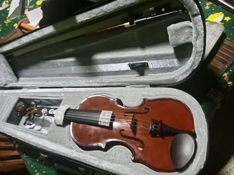 Violín acústico con estuche rígido - 4