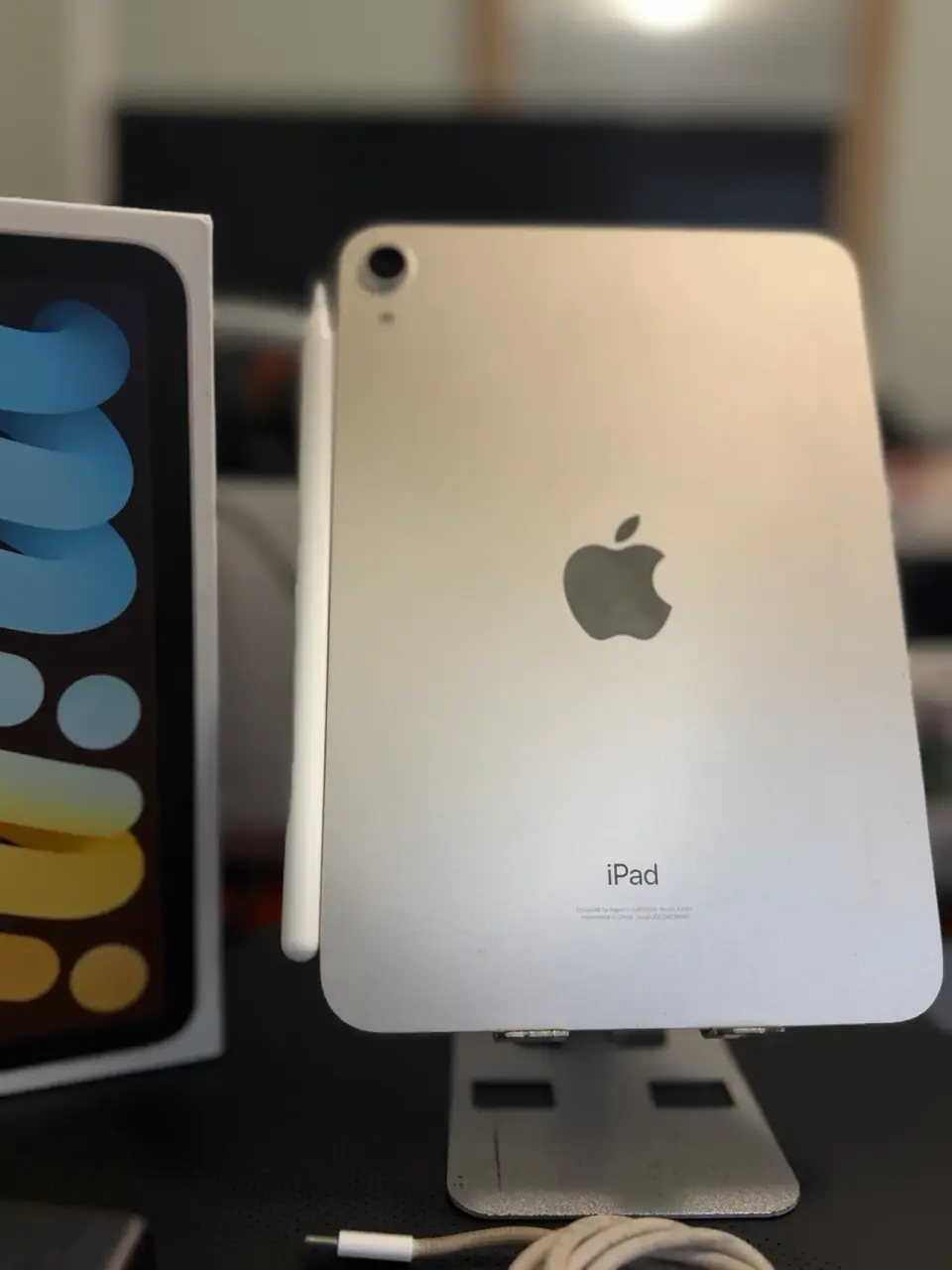 iPad Mini 6 con Apple Pencil 2 y cargador - $399.600 | Pulga