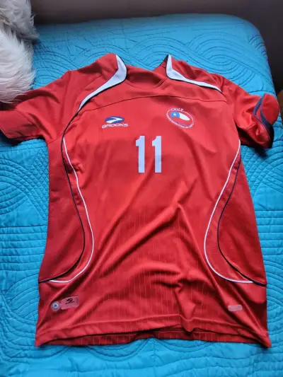 Camiseta selección 2010 ORIGINAL - miniatura 1