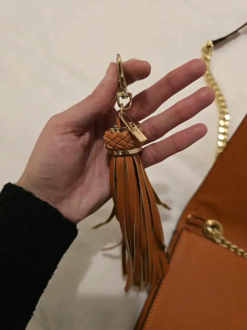 Cartera Aldo - 3