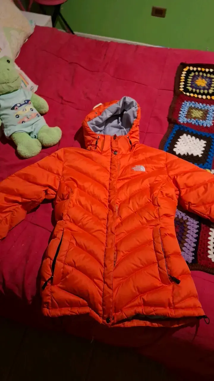 Chaqueta de invierno naranja The North Face - 1