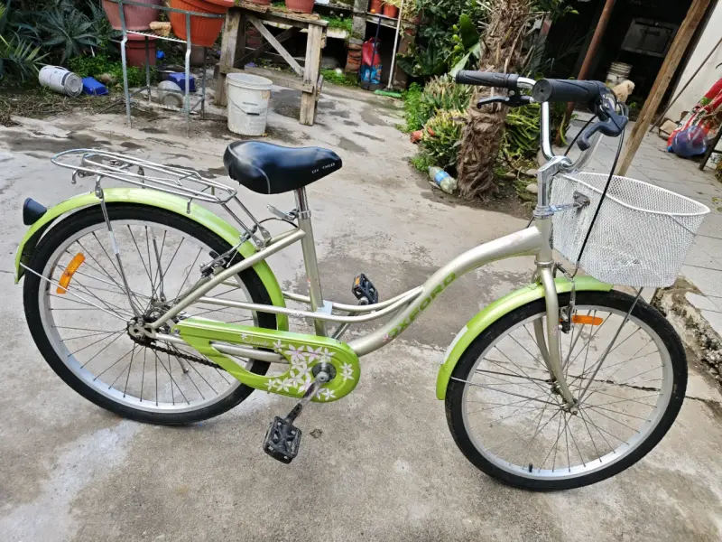 Bicicleta Oxford Quark Vintage Aro 24 - 1