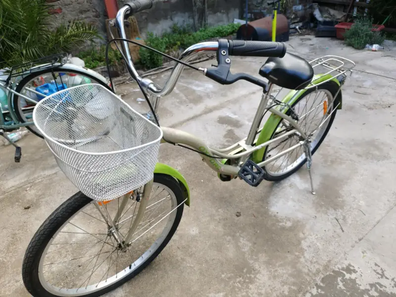 Bicicleta Oxford Quark Vintage Aro 24 - 2