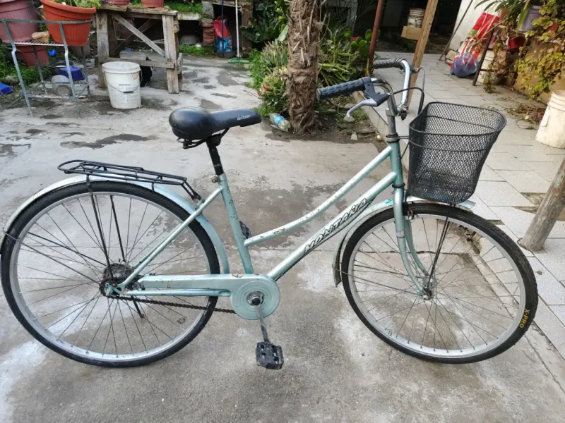 Bicicleta Paseo Aro 26 - 1