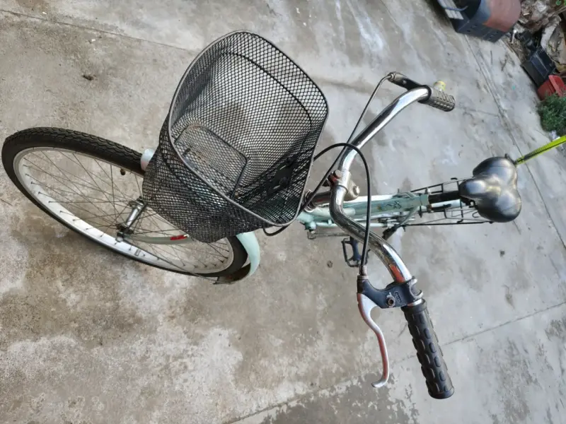 Bicicleta Paseo Aro 26 - 2