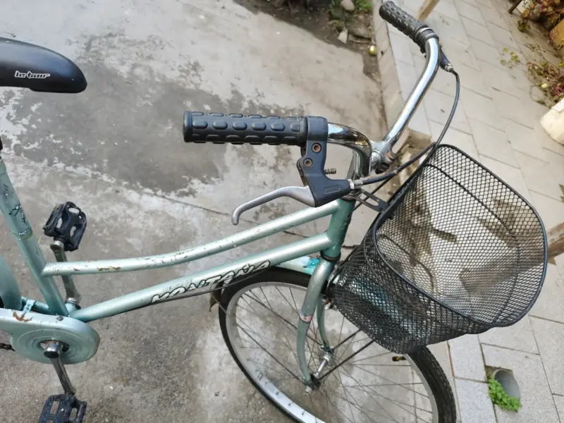 Bicicleta Paseo Aro 26 - 3
