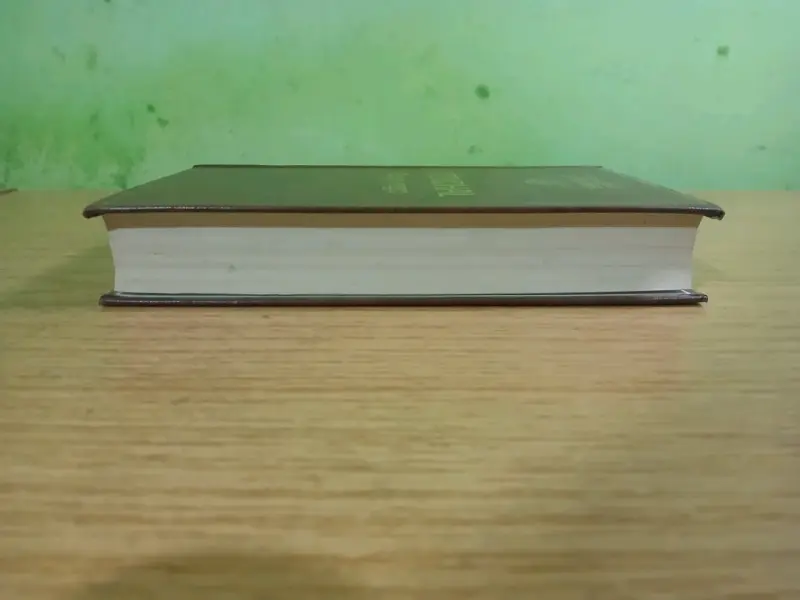 Libro 'Rojo y Negro' de Stendhal - 2