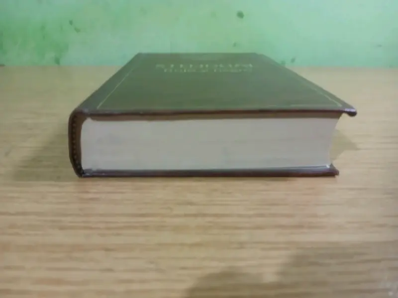 Libro 'Rojo y Negro' de Stendhal - 3