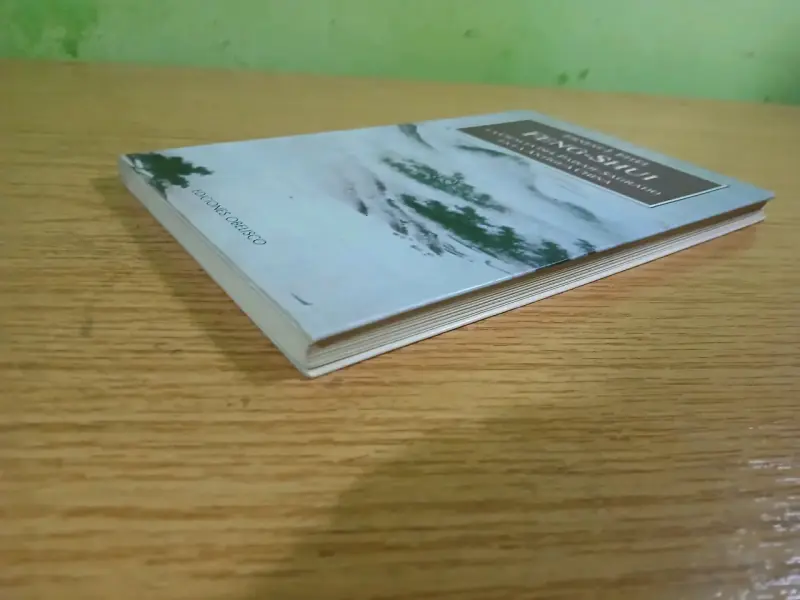 Libro Feng-Shui de Ernest J. Eitel - 3