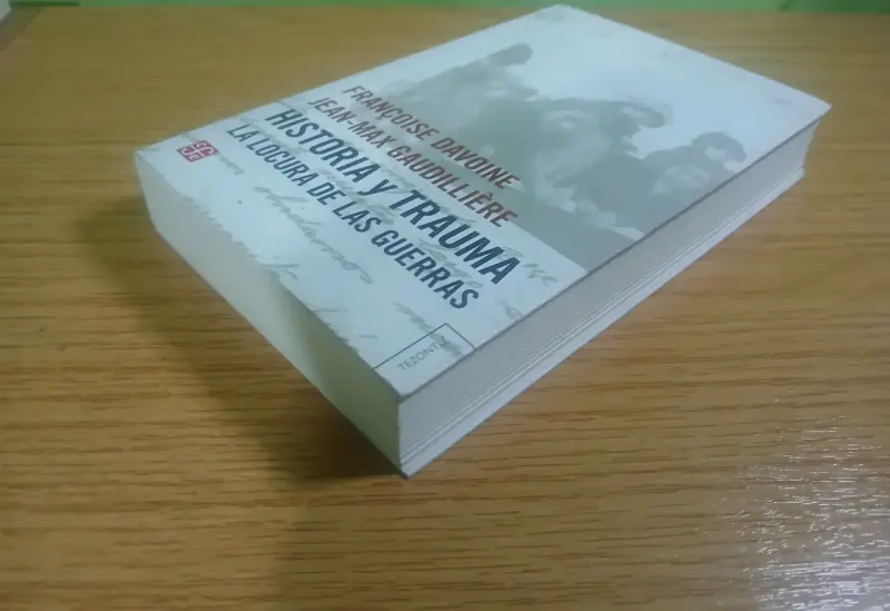 Libro Historia y Trauma de Françoise Davoine y Jean-Max Gaudillière - 3