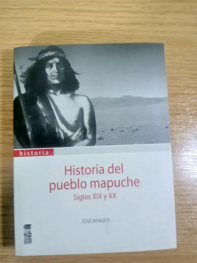 Libro Historia del Pueblo Mapuche de José Bengoa - 1