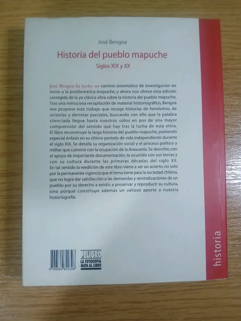 Libro Historia del Pueblo Mapuche de José Bengoa - 2