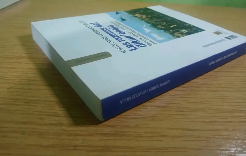 Libro 'Las razones del illkun/enojo' de Martín Correa y Eduardo Mella - 4