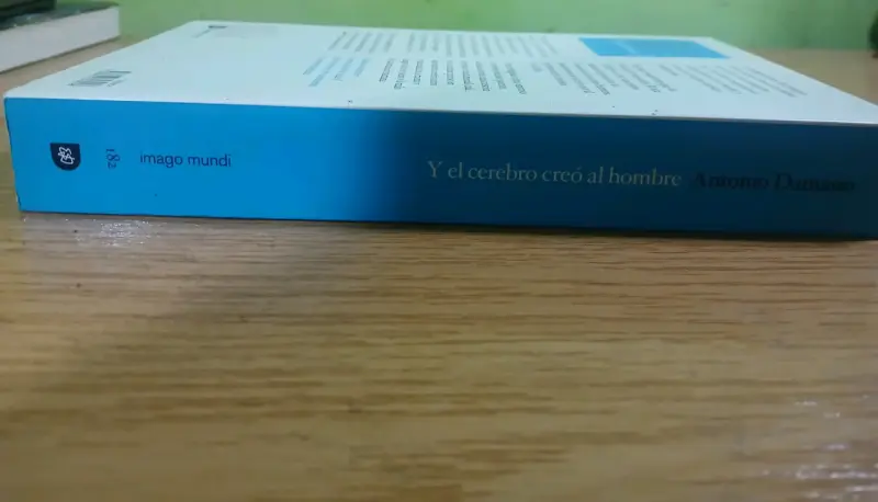 Libro 'Y el cerebro creó al hombre' de Antonio Damasio - 4