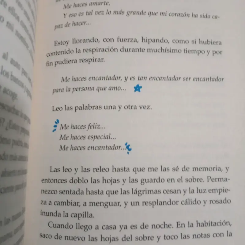 Libro Violet y Finch - con SOLAPAS - 5