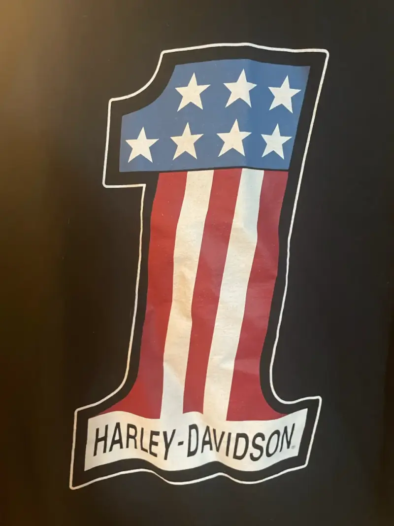 Polerón original con capucha Harley-Davidson negro - 2