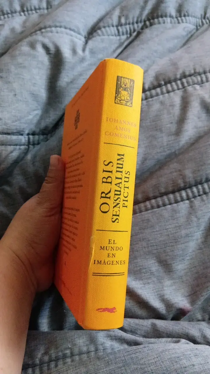 Libro Orbis Sensualium Pictus de Comenius - 3
