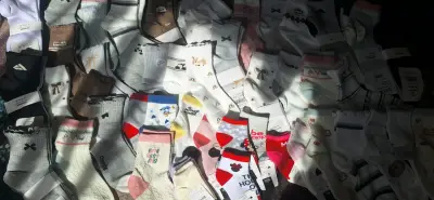 Lote de calcetines diseños variados - miniatura 1