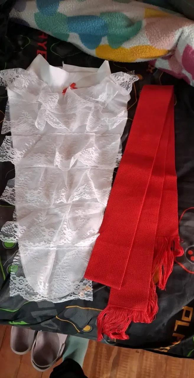 Traje de huasa de salón mas zapatos - 3