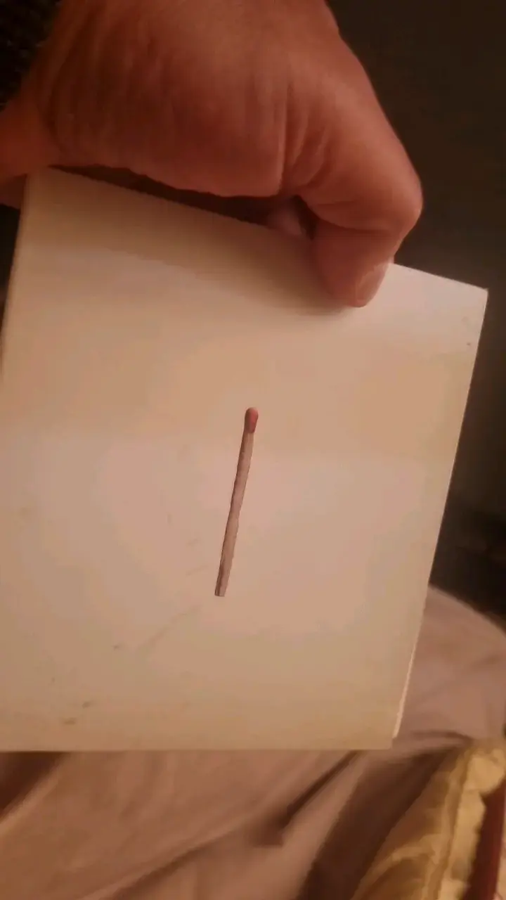 Álbum de música Rammstein con caja original - 2