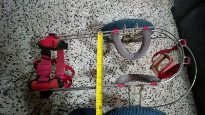 Silla de ruedas para perro ajustable - miniatura 1