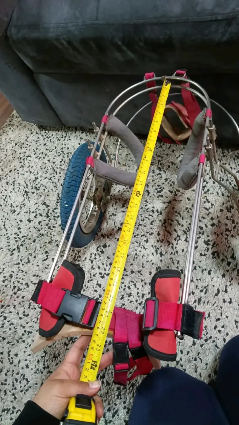 Silla de ruedas para perro ajustable - 2