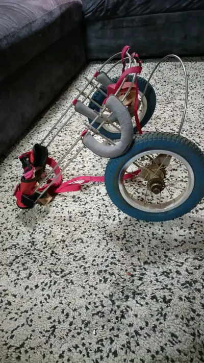 Silla de ruedas para perro ajustable - miniatura 3