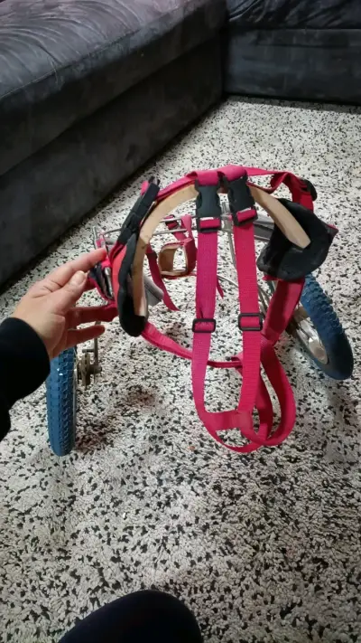 Silla de ruedas para perro ajustable - miniatura 4