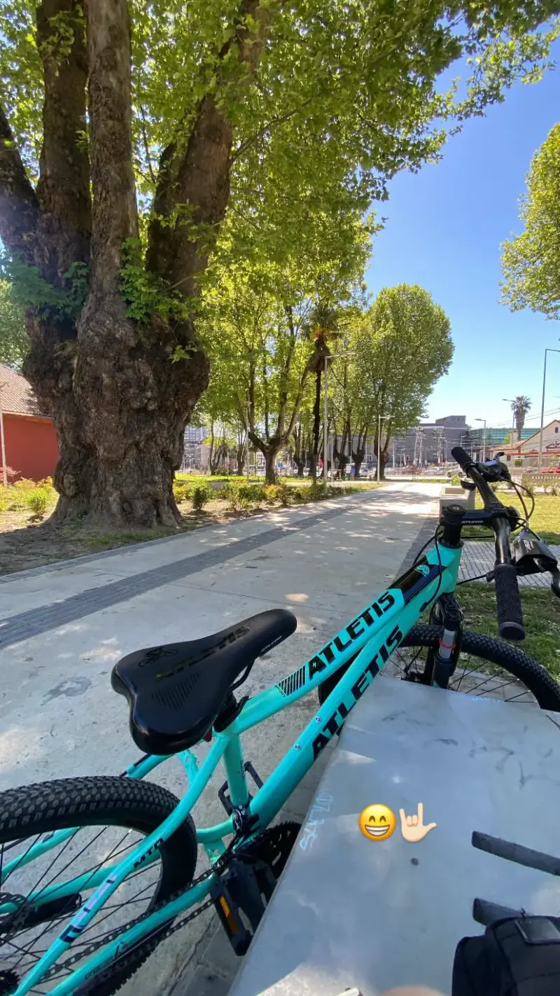 Bicicleta de montaña Aletis verde menta - 5