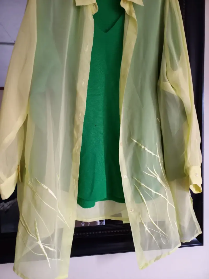 Blusa transparente amarilla con bordado floral - 1