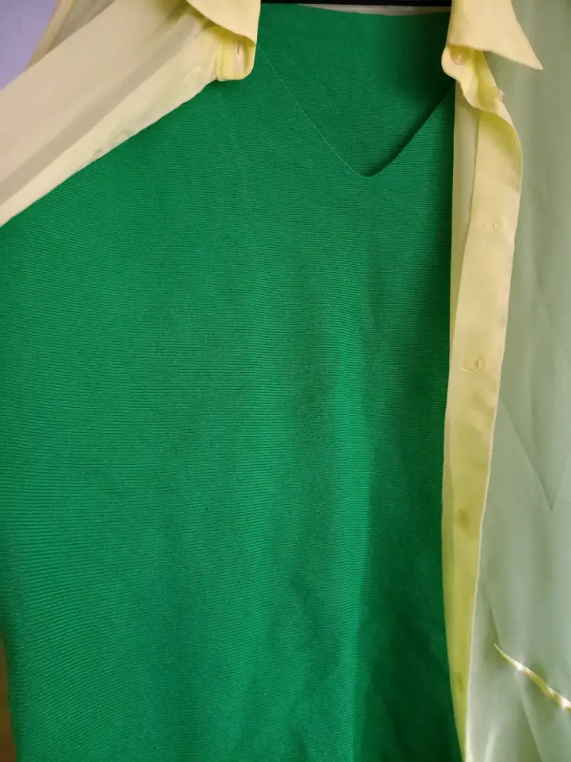 Blusa transparente amarilla con bordado floral - 4